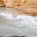 Day 8, Mile 157 (0323)