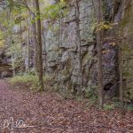 Easy, wide trail for 1.2 miles from the small parking area. It follows the beautiful Richland Creek on the left, noted for cascades and huge boulders. Laurel-Snow State Natural Area, near Dayton, TN, would be worth the visit just to walk the mile from the parkinmg area and back.
