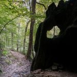At times, a slippery but short uphill spur off the Downstream Trail. A rickety set of steps help.