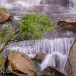 Upriver from the Downstream Trail.
