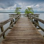 Reelfoot Lake State Park