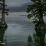 Reelfoot Lake State Park