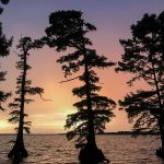Reelfoot Lake State Park