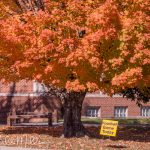 You can tell for two reasons.