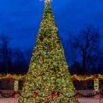 Transformed at Christmas.