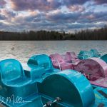Paddle boats for rent.