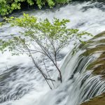 East Portal - Savage Day Loop Trail