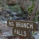 The first featyre along the trail.