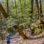 Early spring in March.