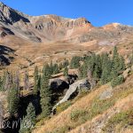 The American Basin trail begins at 11507' and ascends to 12634' a one-way distance of 2.1 miles. Or you can continue to a high-altitude lake, and keep going to Handies Peak at 14053'.