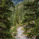 Along Imogene Pass Trail