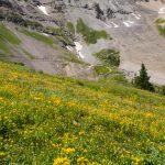 Along Imogene Pass Trail (north of the pass)