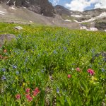 Along Imogene Pass Trail