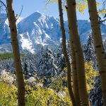 Across from Kebler Pass Road