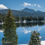 Side exploration off Kebler Pass Road