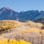 Along Kebler Pass Road near Crested Butte, Co