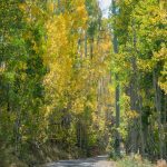 Easy drive in dry conditions; otherwise hills can be very slippery.