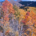 Along Last Dollar Road
