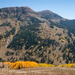 Lead King Basin Loop Trail