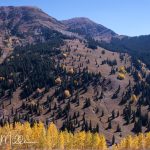 Lead King Basin Loop Trail
