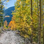 Lead King Basin Loop Trail