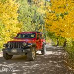 Ophir Pass Trail