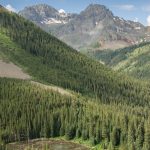 Ophir Pass Trail