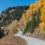 Paradise Divide Loop