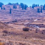 Paradise Divide Loop.
