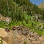 Along Yankee Boy Basin Trail